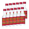 99 Brand Shots Black Cherry 50ml 12pk